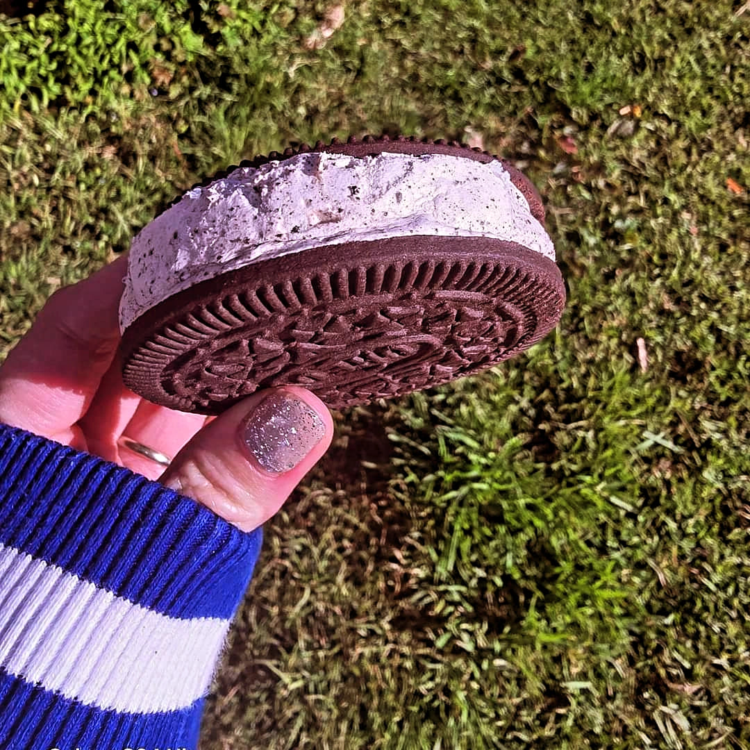 Icecream Biscuitz - OREO